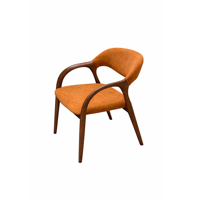 Dining Chairs Sets & Modern Dining Chairs