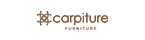 carpiturefurniture.com